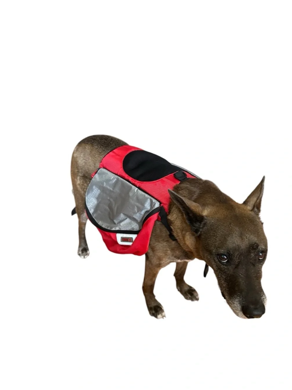 Kong Red and Grey Saddlebag Backpack Harness, size L/XL